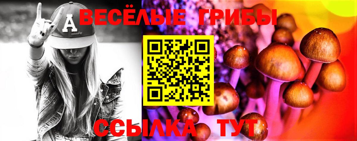 Галлюциногенные грибы GOLDEN TEACHER  Вход с VPN  Камышин 
